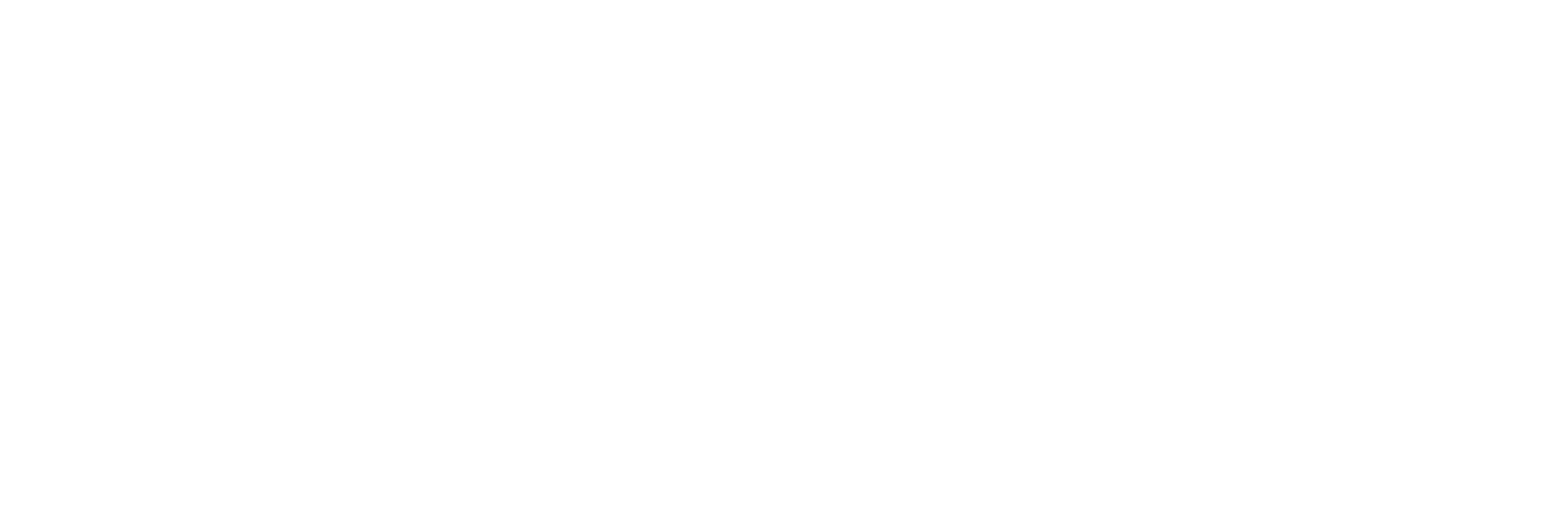bitvavo-mark-and-logo-white